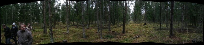 Click for original image