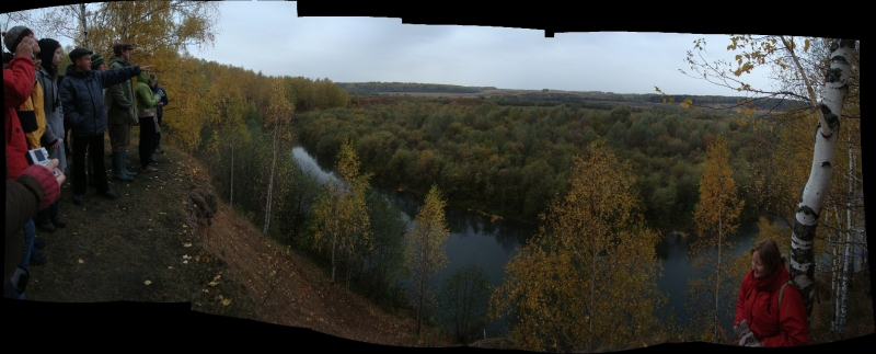 Click for original image