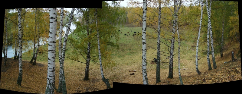 Click for original image