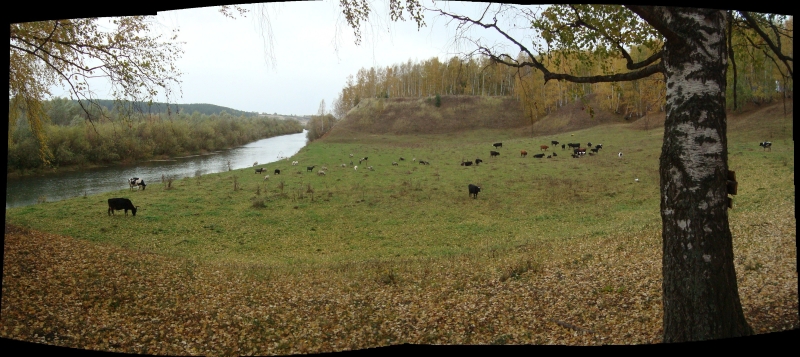 Click for original image