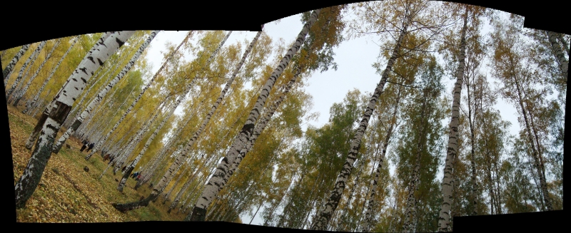 Click for original image